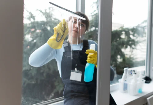 Nettoyage de vitres intérieures et extérieures à Ollé